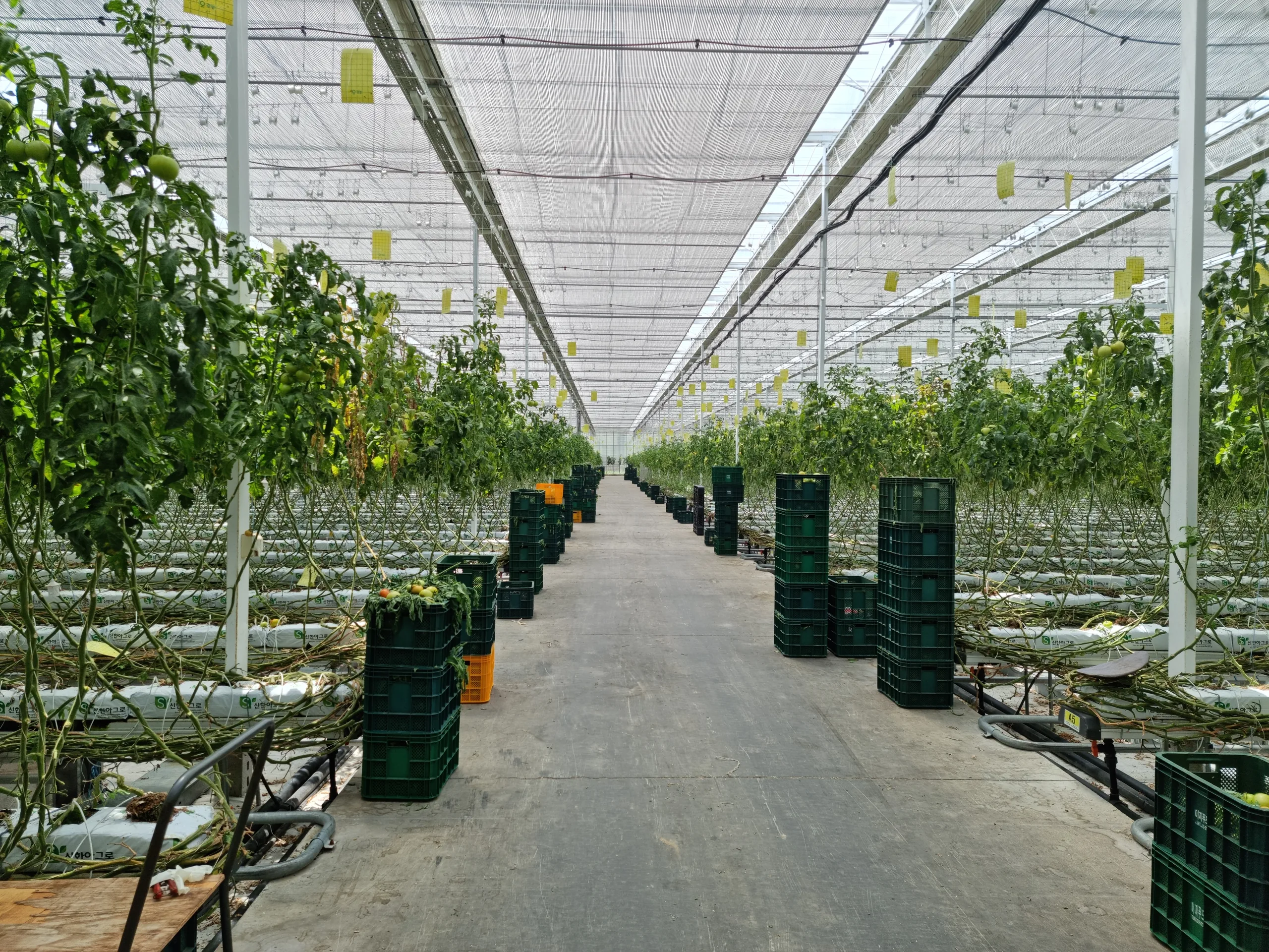 Eco agriculture main